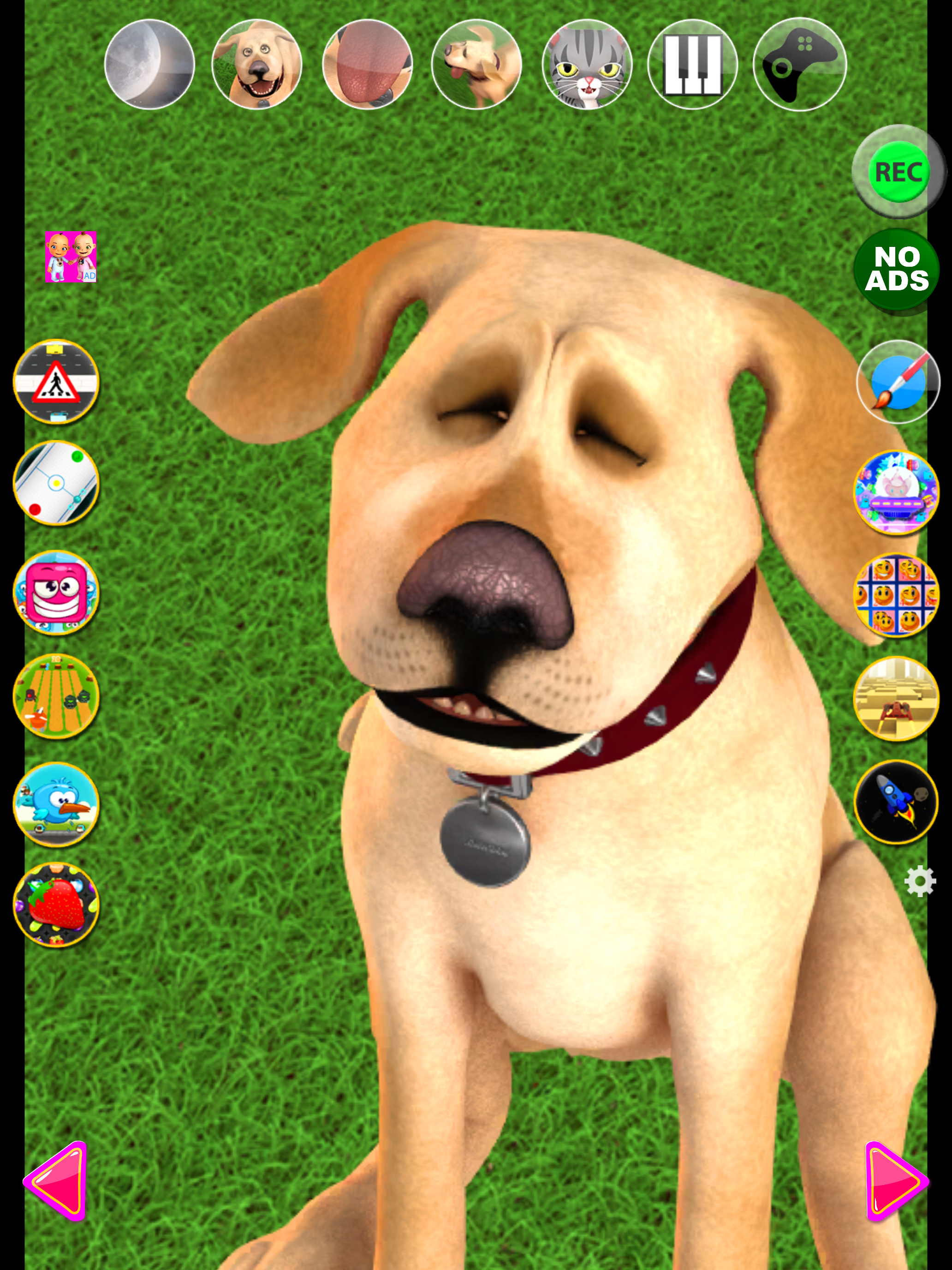 Talking John Dog