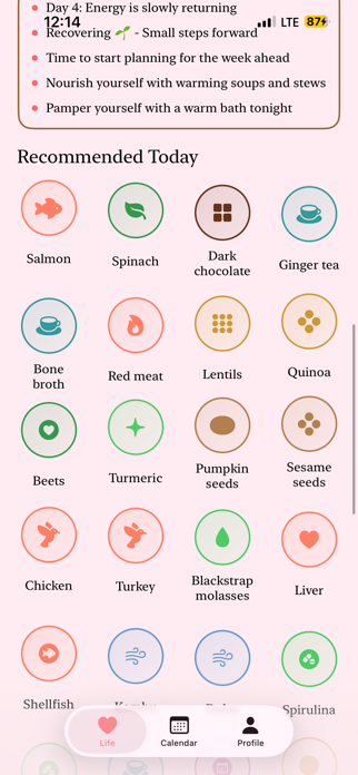 Spaghetti Cat - Period Tracker Screenshot 5 of 10