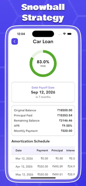 Debt Payoff Tracker & Planner* screenshot 3