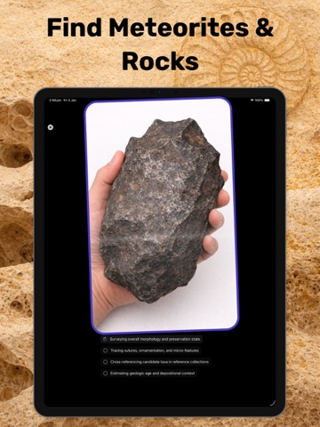 Fossil Identifier & Rock ID iPad screenshot
