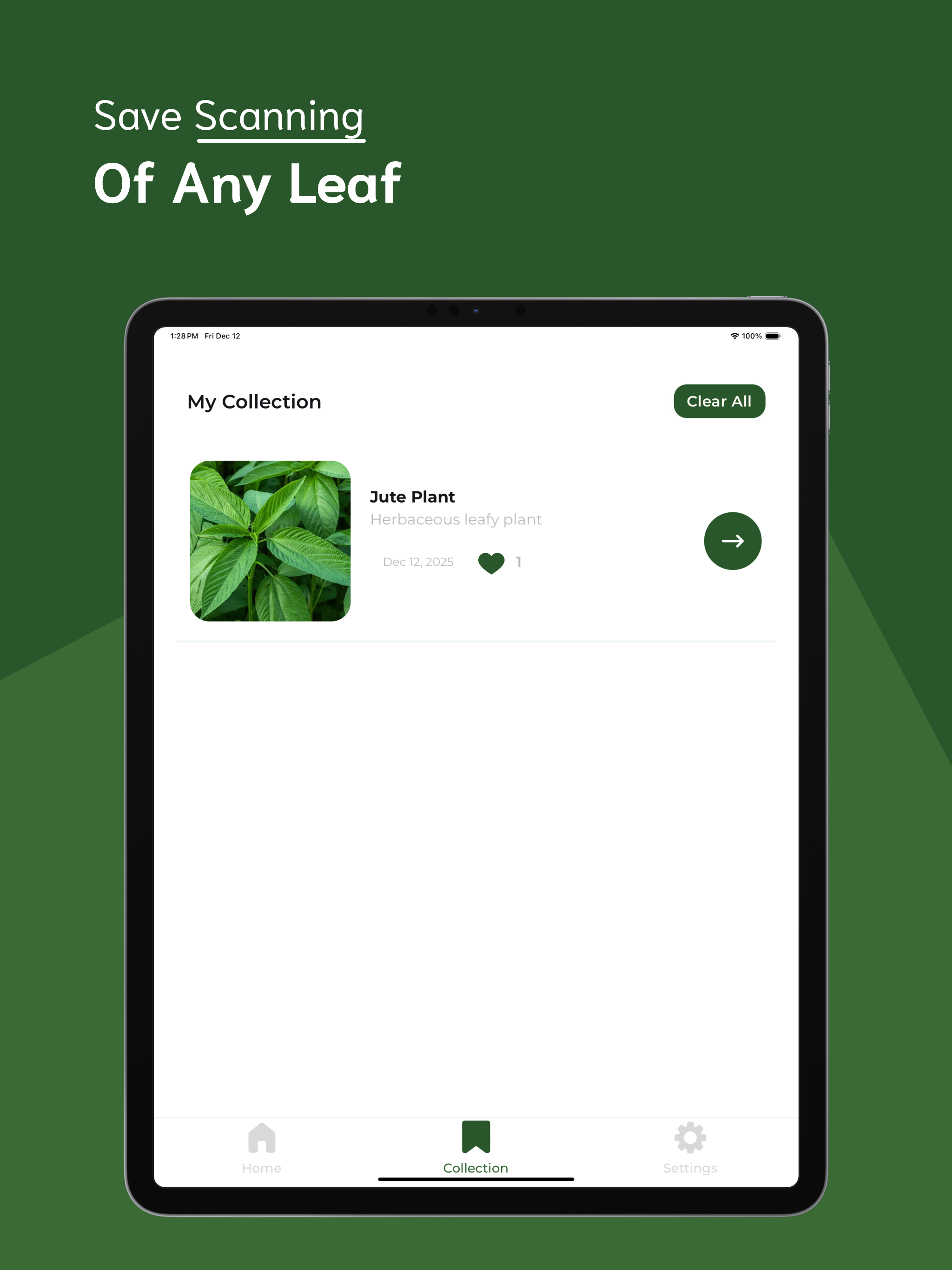 Leaf Identifier - LI screenshot 11