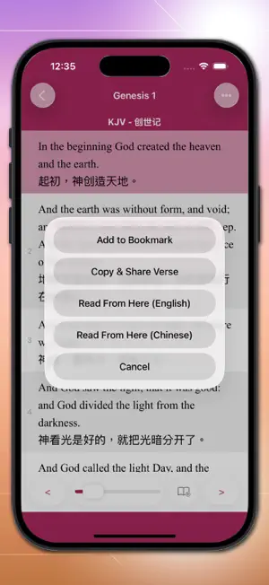 SimpleBible - Bilingual screenshot 4
