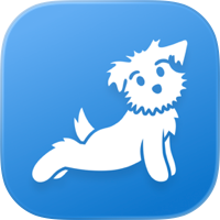Yoga | Down Dog