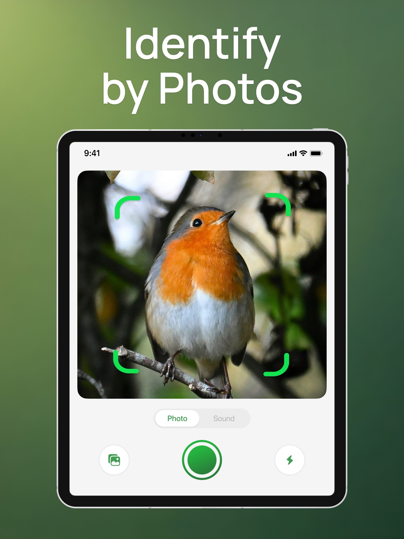 Screenshot 10 of Bird Identifier; Bird Sound ID