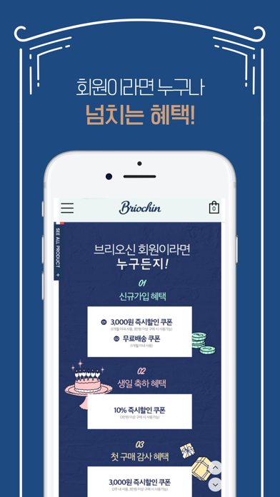 Briochin Screenshot