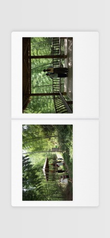 LumaPane - Realistic Album iPhone screenshot