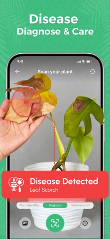 Plant Identifier & Care Guide: iPhone screenshot
