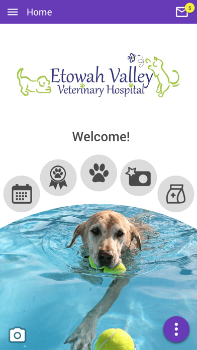Etowah Valley Vet Screenshot