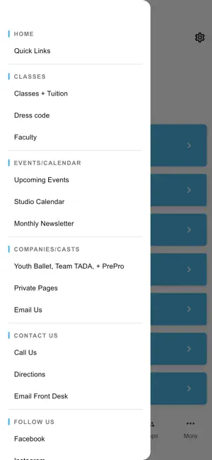 Texas Academy of Dance Arts screenshot 3