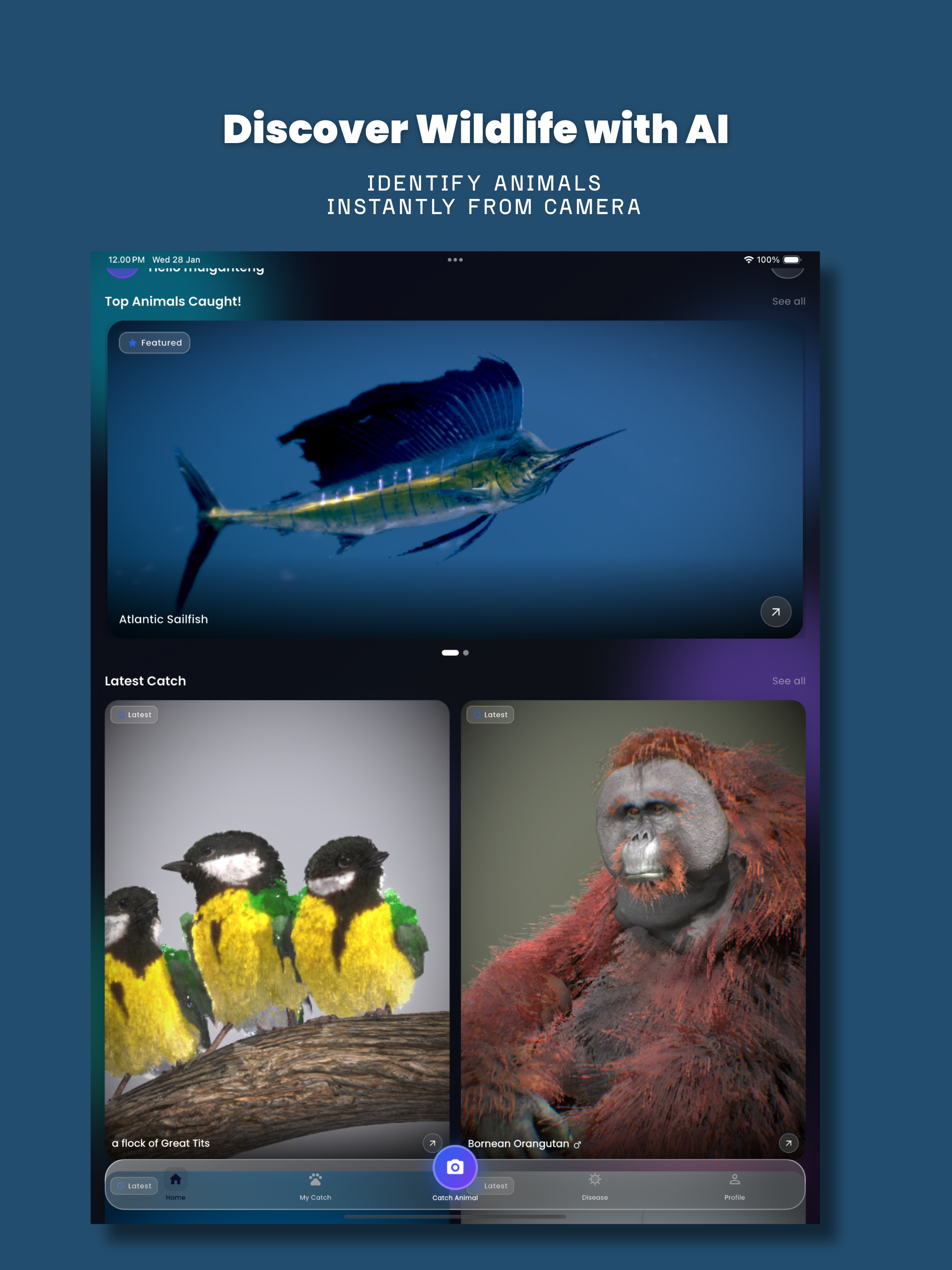 Anymal - AI Animal Identifier