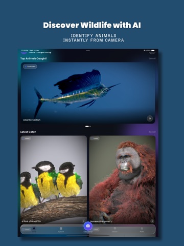 Anymal - AI Animal Identifier