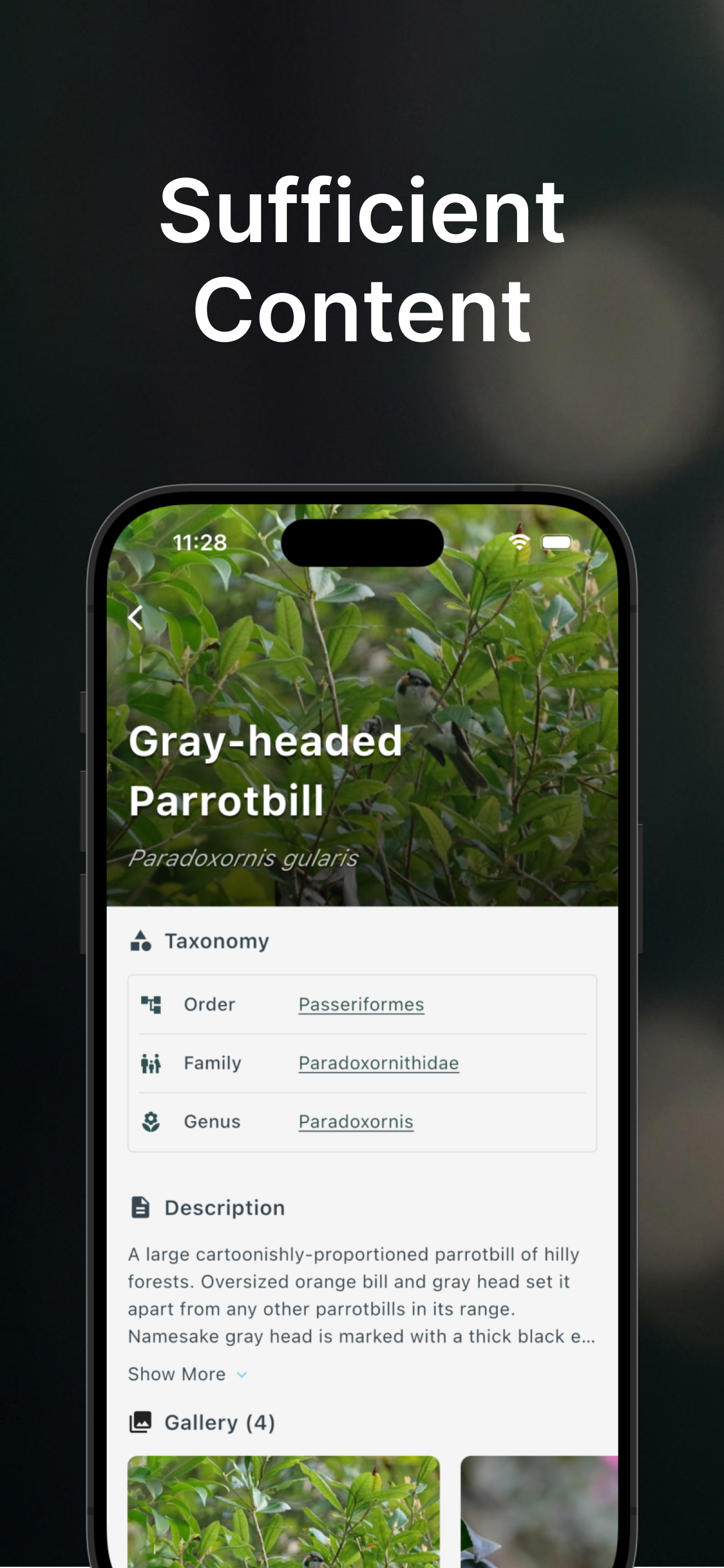 BirdLens: Bird Identifier