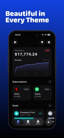 Penni: Expense Tracker Screenshot 9 of 9
