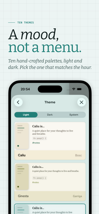 Caliu - A notes app Screenshot 6 of 7