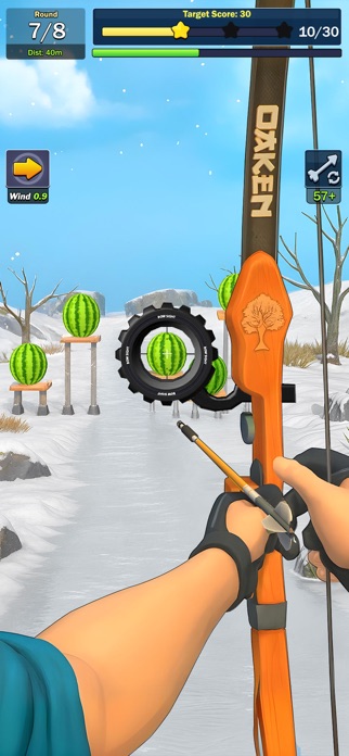 Aim Master: Archery Games 3D Screenshot 6 of 7