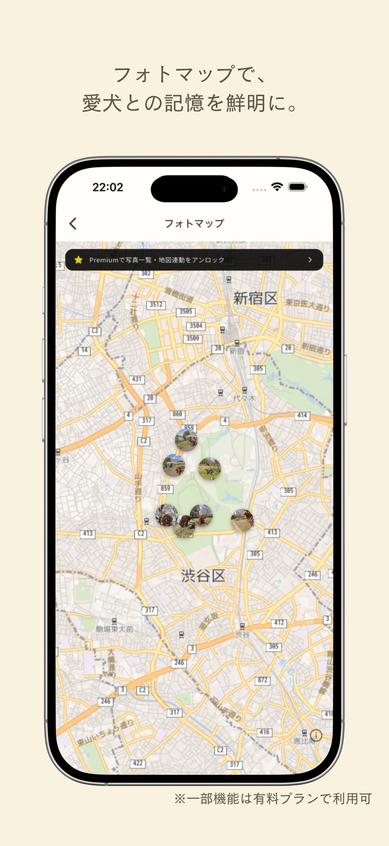 SiPPO Friends - 犬の散歩＆健康管理 screenshot 6