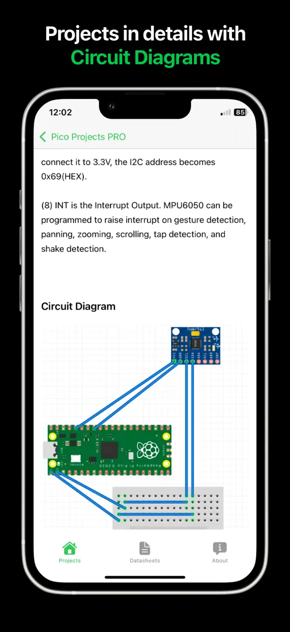 Screenshot #3 pour Pico Projects PRO