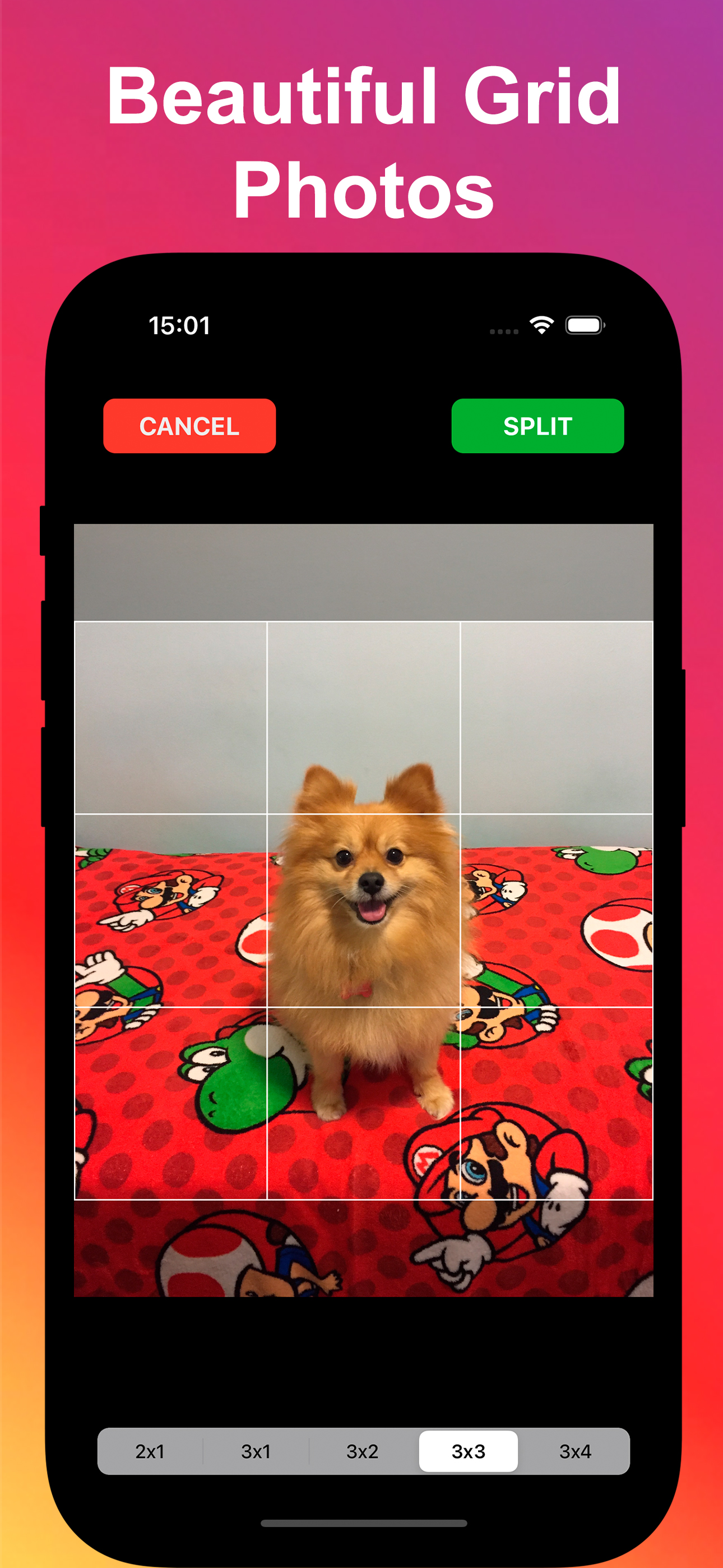 Photo Splitter: Picture Grids