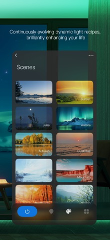 Colorpanda Screenshot 3 of 5
