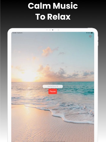 Insight Timer Meditation App iPad screenshot