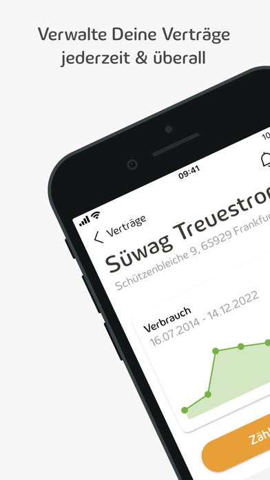 Screenshot #1 pour Meine Süwag