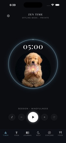 Zen Time: Unplug & Unwind screenshot