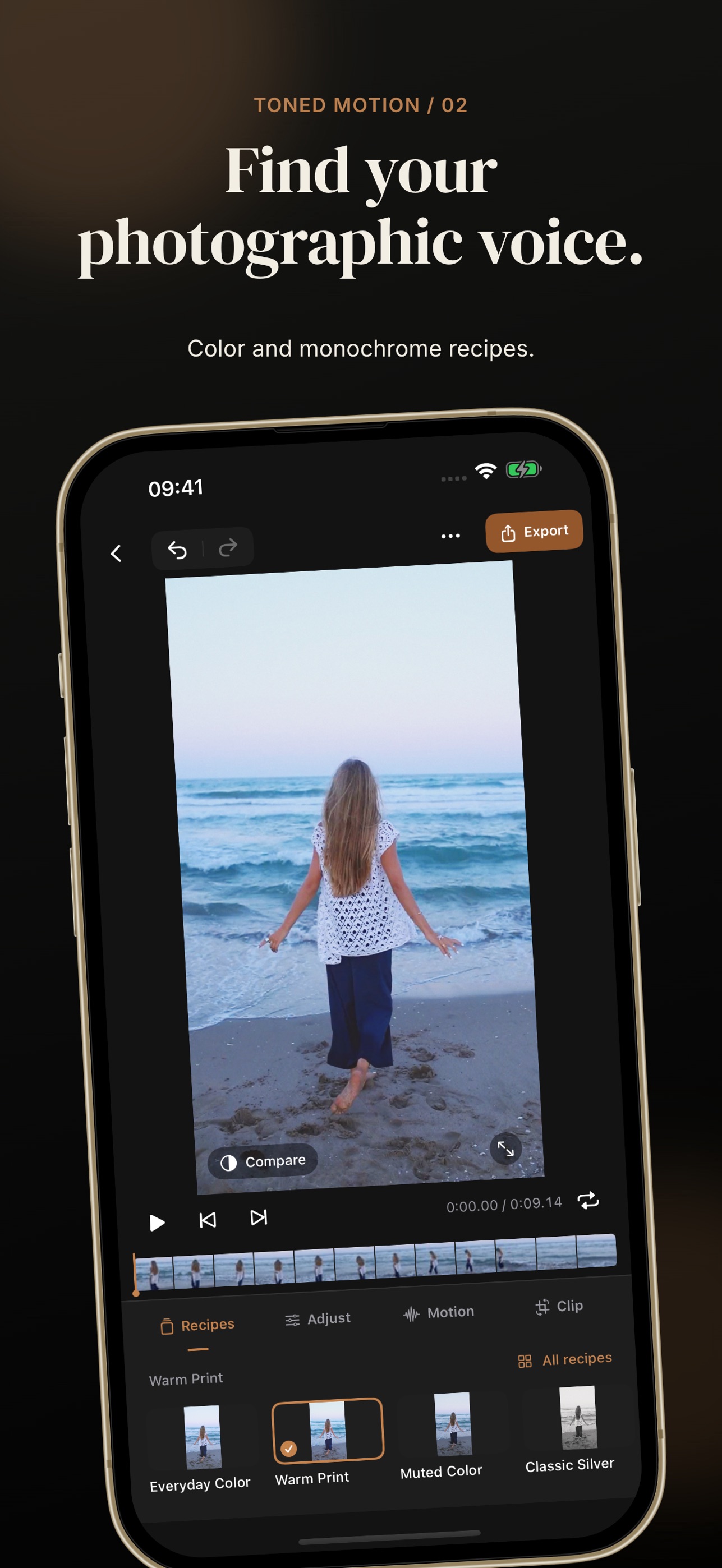 Screenshot 2 of Toned Motion: Video Filters