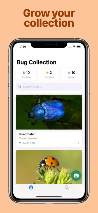 Bug Identifier Screenshot 5 of 5