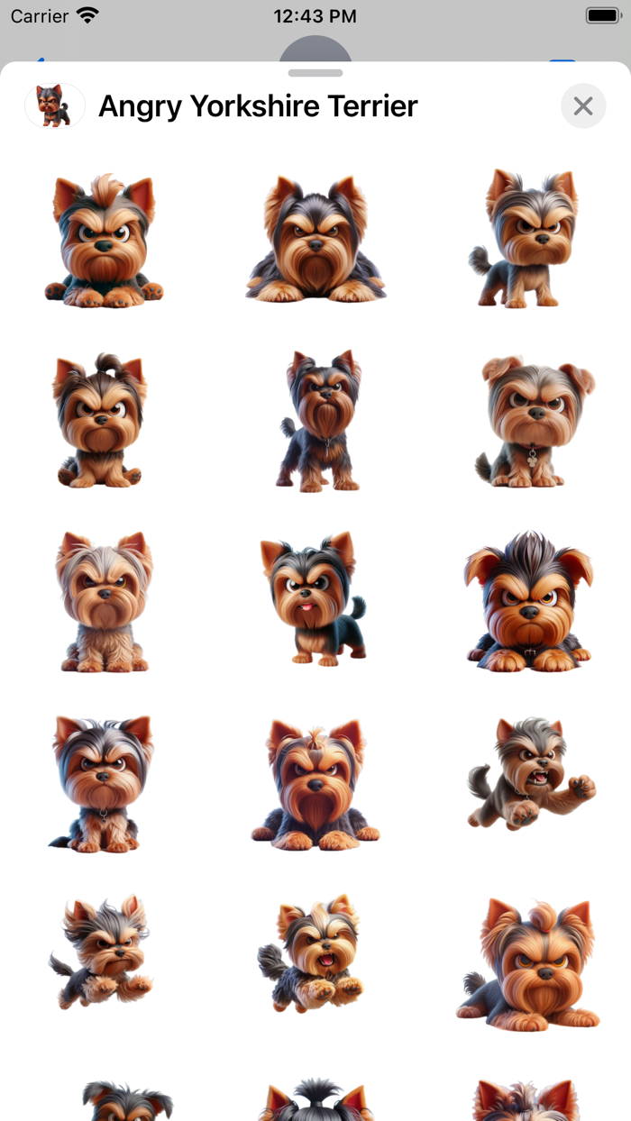 Angry Yorkshire Terrier