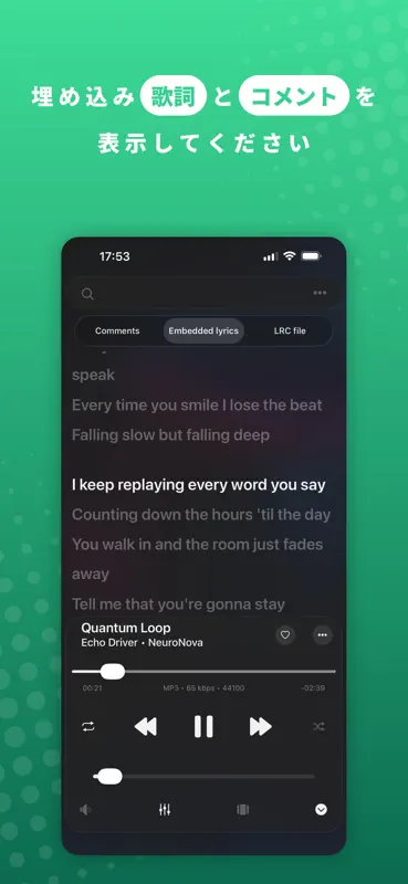 Evermusic: Offline Musikplayer screenshot 4 of 10