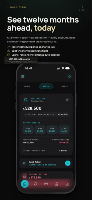 Nakdim: Budget & Cash Flow screenshot 4