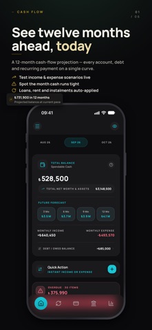 Nakdim: Budget & Cash Flow Screenshot 4 of 6