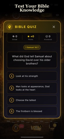 Verse Veil: Bible Word Search iPhone screenshot