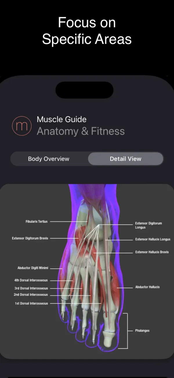 Screenshot #3 pour Fitness Muscle Guide