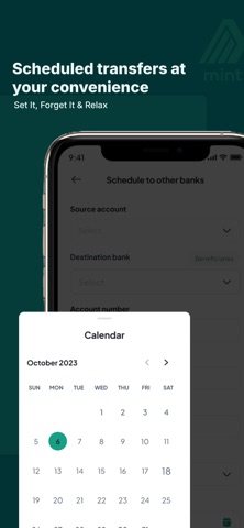 Mint MFB screenshot
