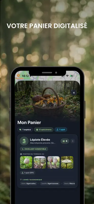Mushways - carte champignons screenshot 5 of 5