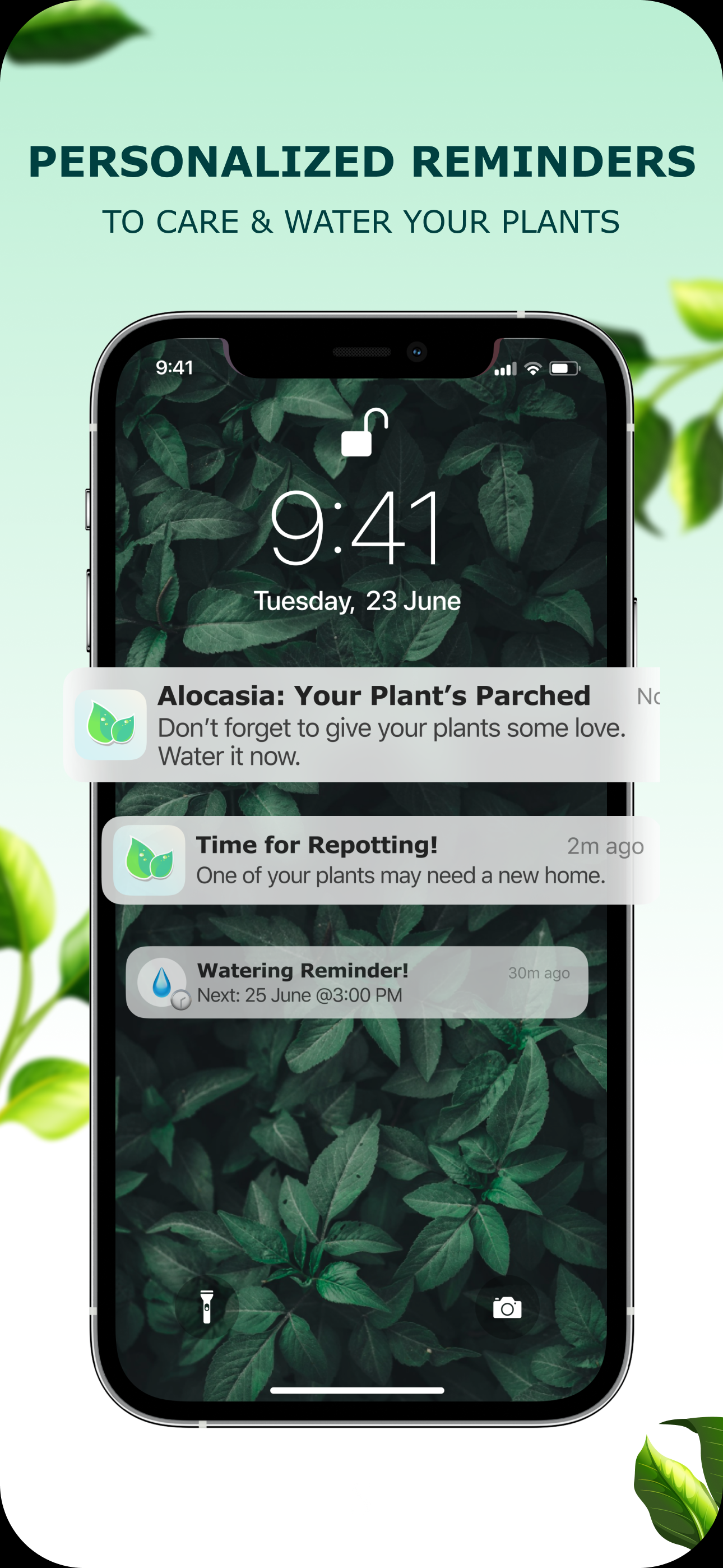 Plant Identification Plant App screenshot 3