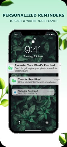 Plant Identification Plant App Screenshot 3 of 4