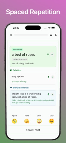 English Idioms Plus screenshot