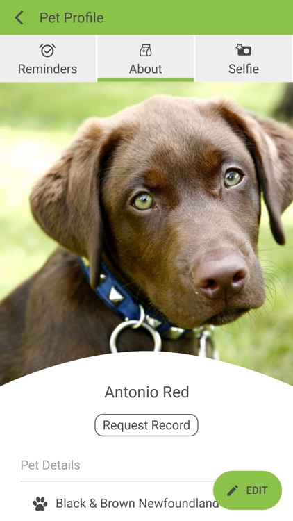 Petroglyph Animal Hospital