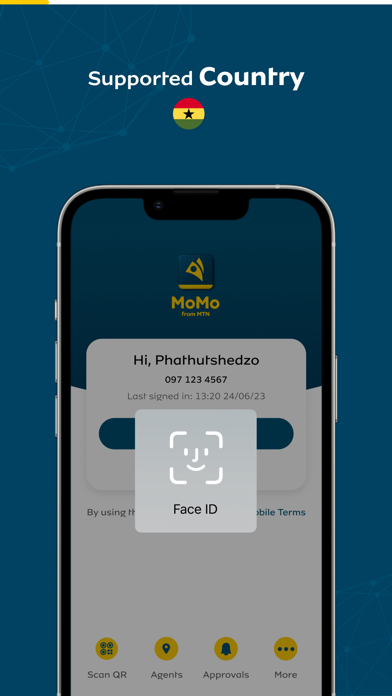 MoMo App Screenshot