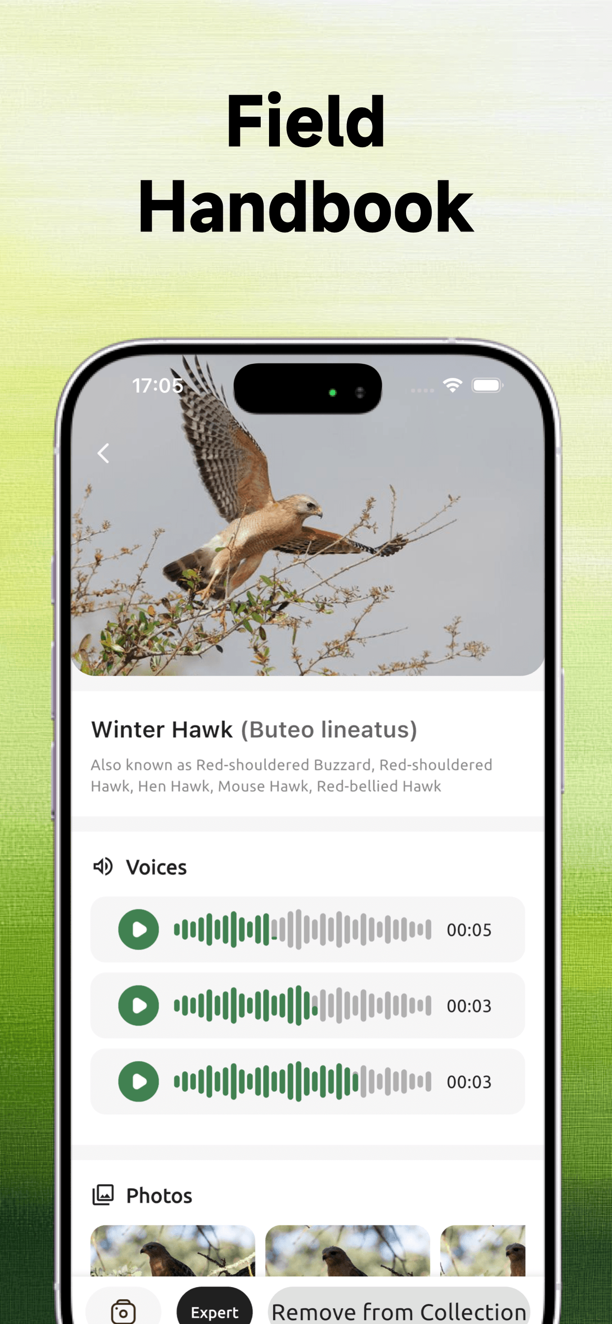 BirdSnap: Bird identifier screenshot 3