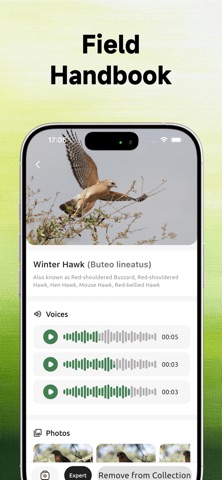BirdSnap: Bird identifier iPhone screenshot