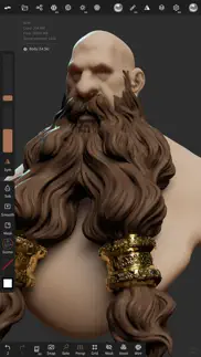 nomad sculpt not working image-1
