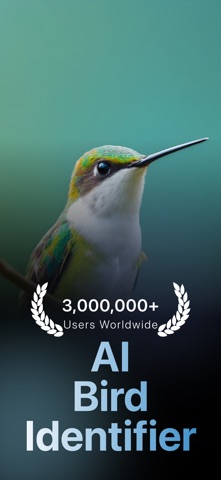 BirdBrain: Bird Identifier screenshot