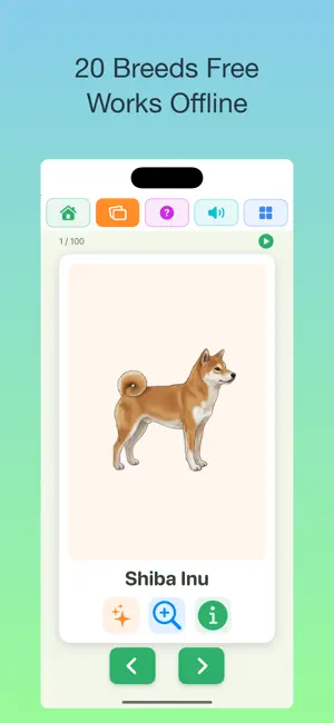 100 Dogs: Kids Encyclopedia screenshot 2