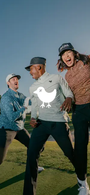 Bad Birdie screenshot 1