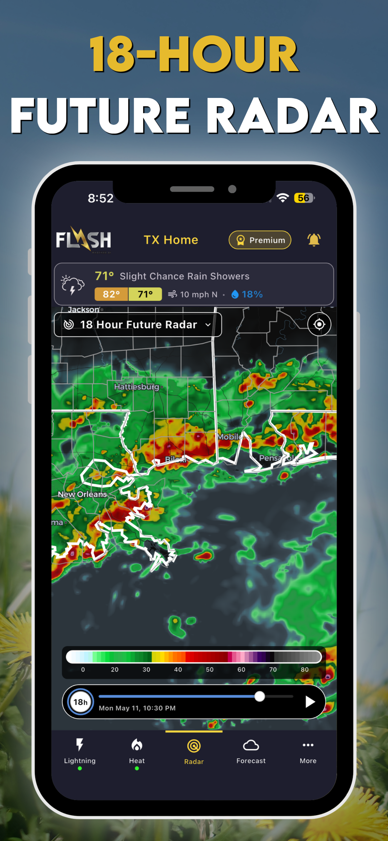 Flash Weather AI: Future Radar
