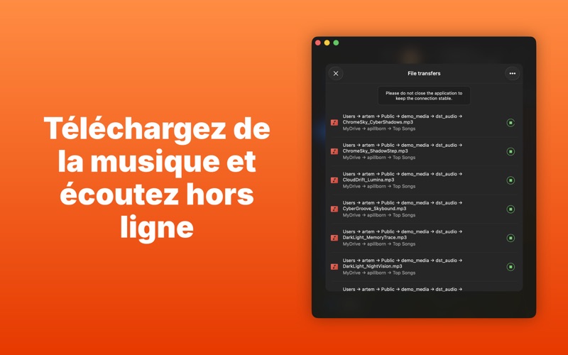 Screenshot #2 pour Evermusic