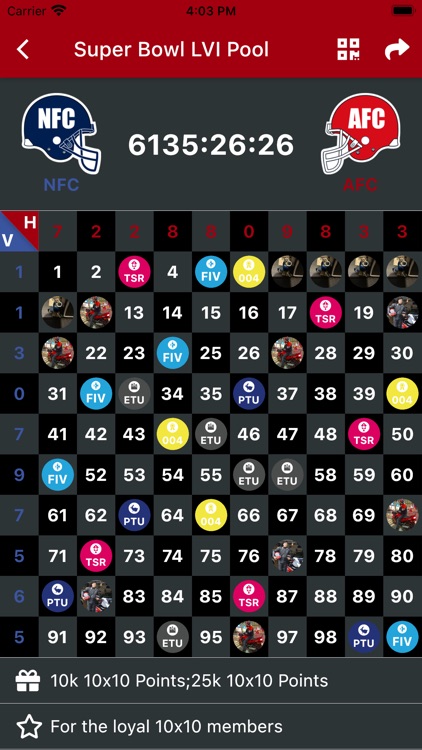 10x10 Sports Squares - Pool